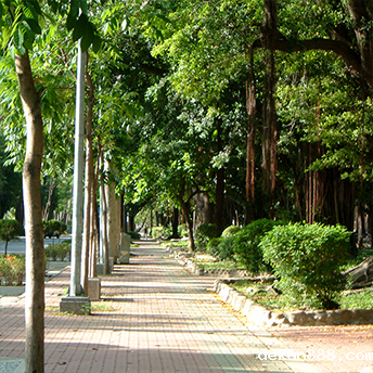 非屬學院
