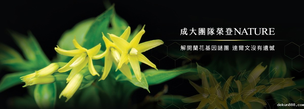 NCKU Research Team Unveils the Genome Sequence and Evolution of Orchids