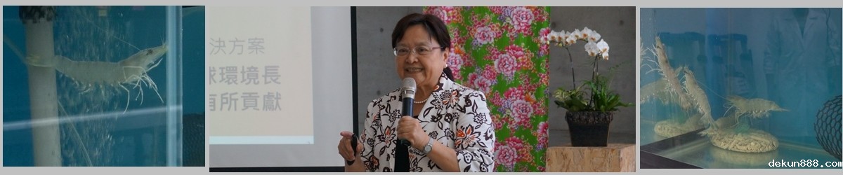 New Prospects for Shrimp Farming in TaiwanImage