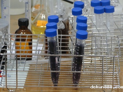 Former NCKU Doctoral Student’s Discovery of Gold Nanoparticles to Induce Luminescence in Leaves Attracts Foreign Media’s AttentionImage