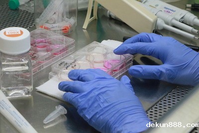 NCKU’s Dr. Yen-wen Liu’s Research on Stem Cells and Regenerative Medicine Published in Nature BiotechnologyImage
