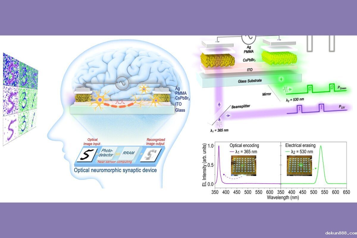 A research team from the Academy of Innovative Semiconductor and Sustainable Manufacturing (AISSM) at National Cheng Kung University (NCKU) has developed an innovative optical biomimetic device, paving a new horizon for proximity sensing technology.