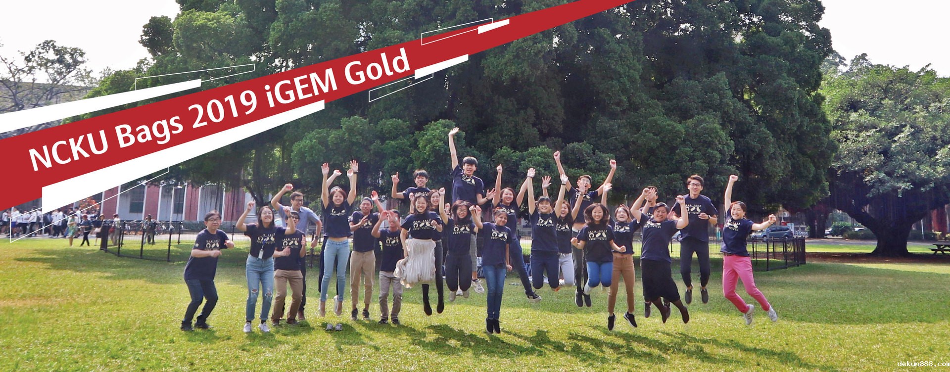 NCKU Tainan’s chronic kidney disease solution bags iGEM gold