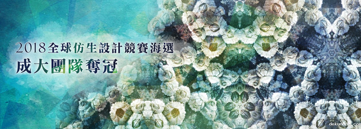 NCKU Awarded First Prize in Open Audition  2018 Biomimicry Global Design Challenge Taiwan CompetitionImage