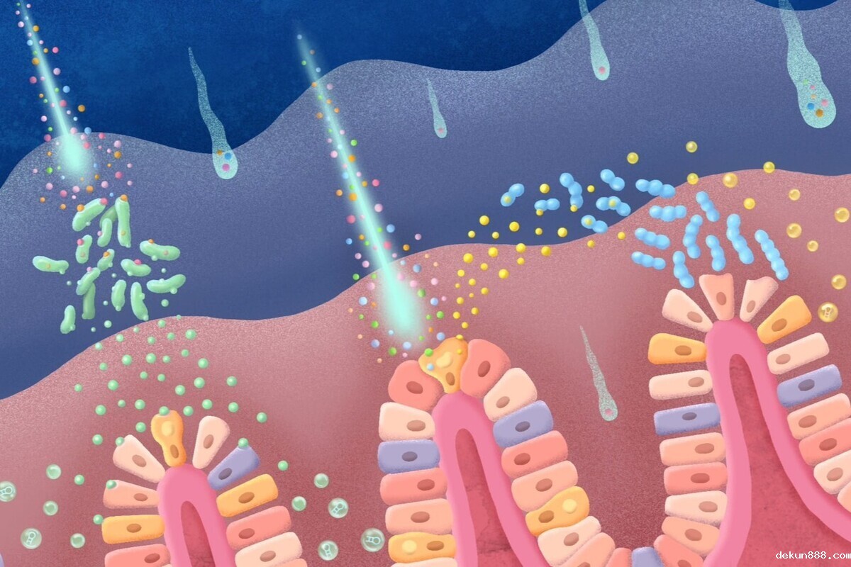NCKU-CYU Collaboration Reveals Hidden Danger of Nanoplastics to Gut MicrobiotaImage