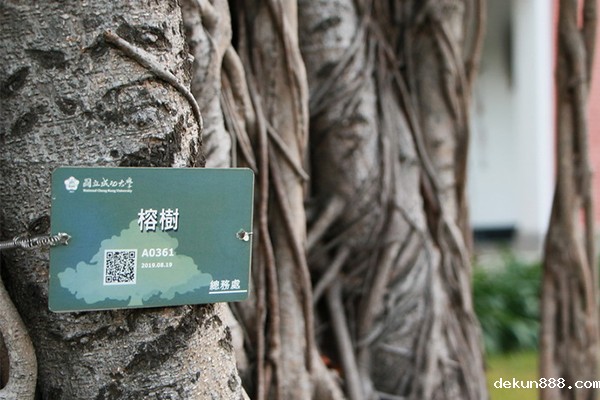 NCKU Trees Now Come in QR Codes