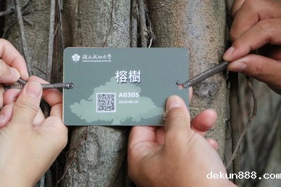 NCKU Trees Now Come in QR CodesImage