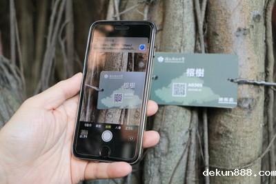 By scanning the QR codes with your phone, a mobile app will connect you to the NCKU Tree web pageImage