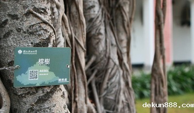 NCKU Trees are numbered and managed by GPS positioning coordinatesImage