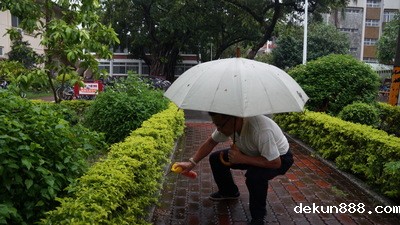 NCKU takes prevention measures against dengue feverImage