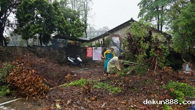 NCKU takes prevention measures against dengue feverImage