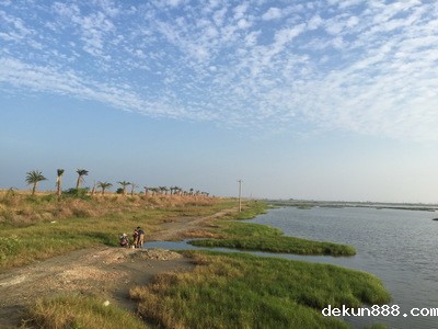 NCKU is granted National Geographic Explorer Global Grant for Energy and Wetland ResearchImage
