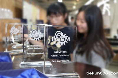 新利18软件官网iGEM團隊2019年一舉為台灣抱回世界冠軍圖片