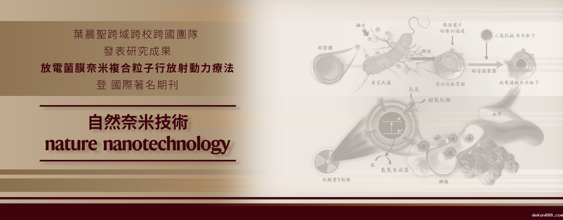 新利18软件官网、高醫、長庚大學與日本機構合作研發「放電菌膜奈米複合粒子行放射動力療法」　成果刊登國際期刊